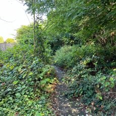 Chemin de la Bordure des Bois