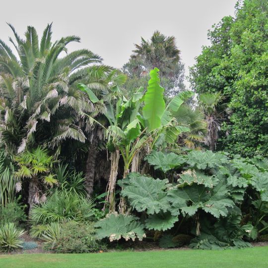 Morrab Gardens