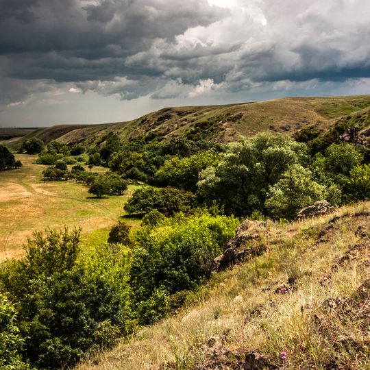 Cherdakly Botanical Natural Monument