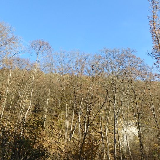 Přírodní park Říčky