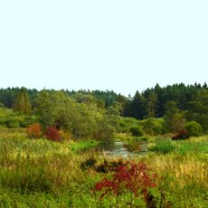 Vilnia Hydrographical Reserve