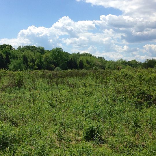 William L. Hutcheson Memorial Forest