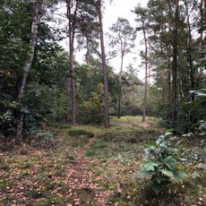 Terrain with tumulus #45956