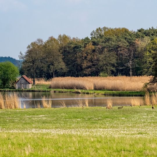 Vogelfreistätte Weihergebiet bei Mohrhof