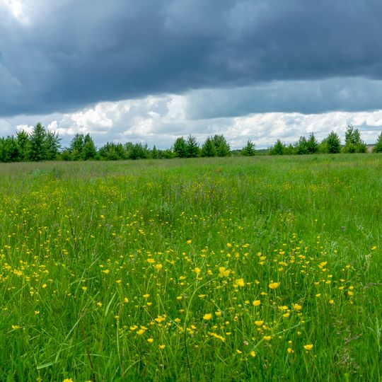 Mykhnivskyi Ornithological Reserve