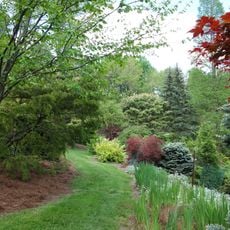 Mount Airy Arboretum