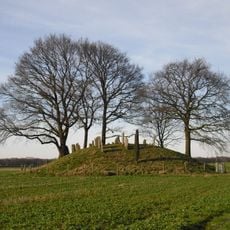 Jodenbergje, Hardenberg