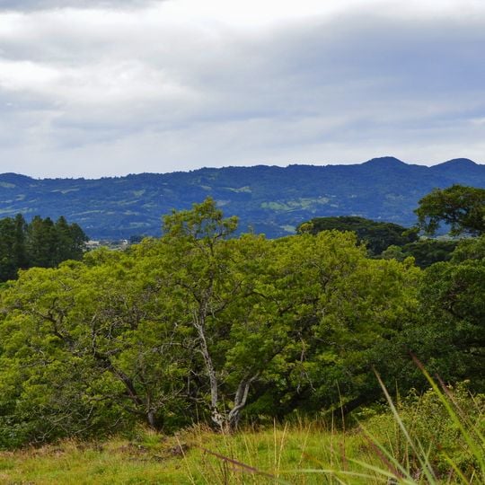 Provincia di Heredia