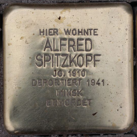Stolperstein für Alfred Spitzkopf
