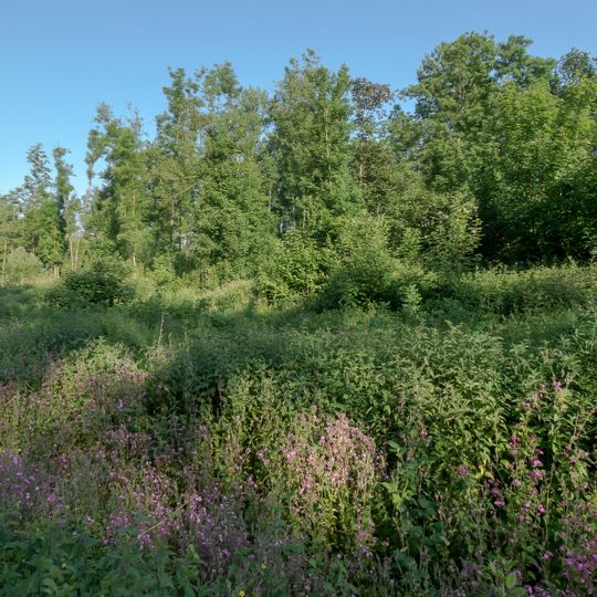 NSG Haus Overbach-Nord