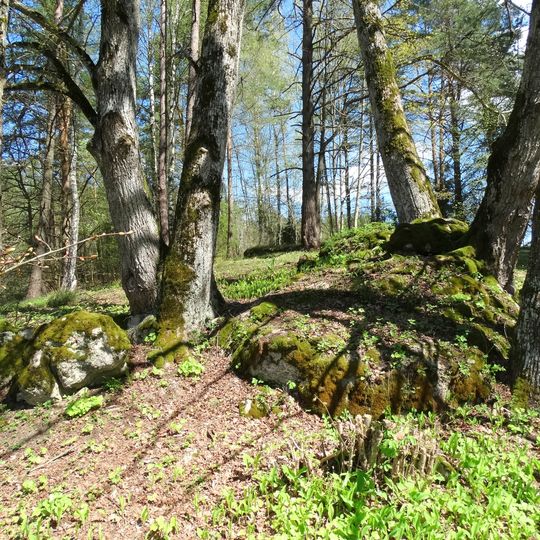 Stakų konglomerato luistai