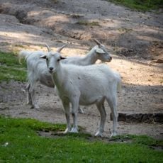 Tierpark Neukölln