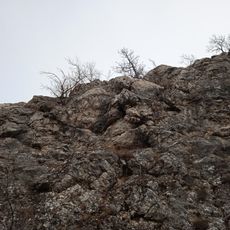 Margitliget köteles Niche