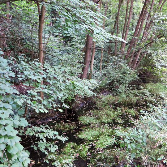 Mastberg und Weißenstein