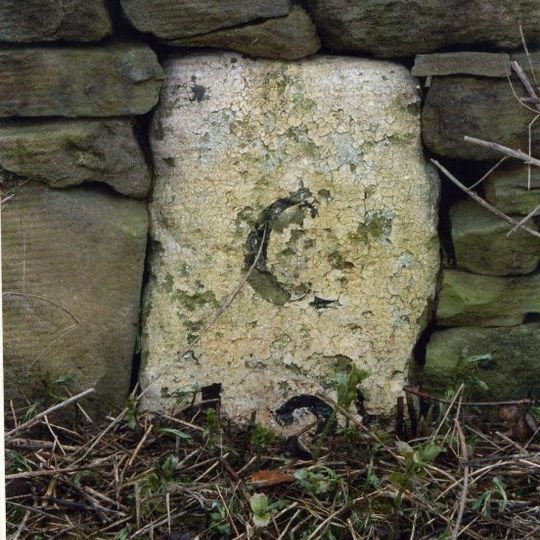 Milestone About 300 Metres South Of West Fines Wood