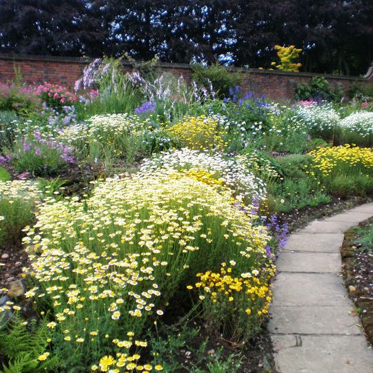 Winterbourne House and Garden