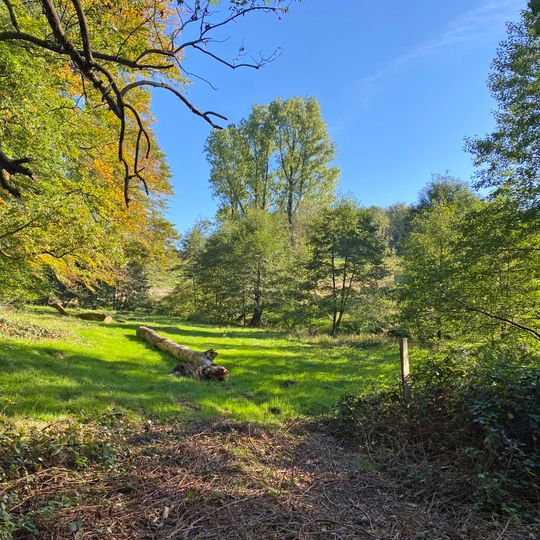 Brebachtal und Baumer Berg