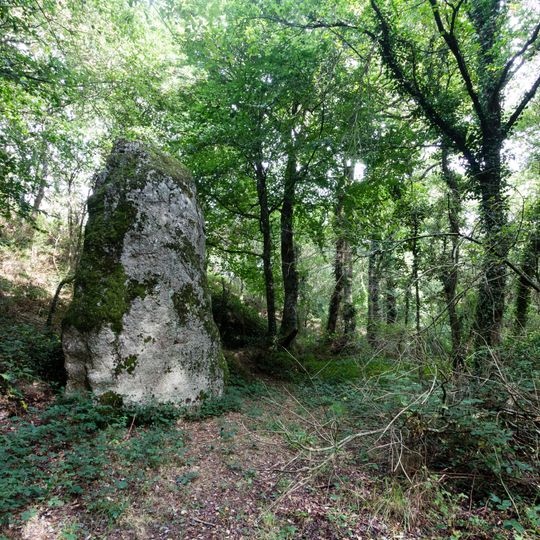 Menhir dit le Fuseau