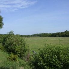 Moor bei Niedersandhausen