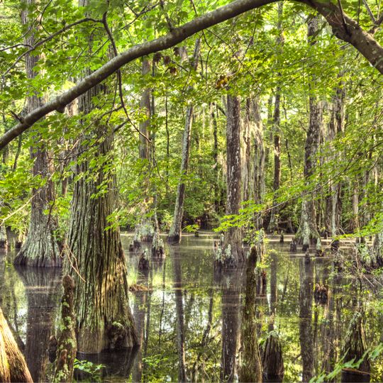 First Landing State Park