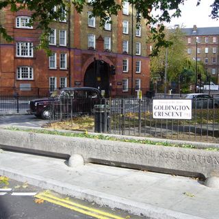 Cattle Trough Opposite End Of Royal College Street