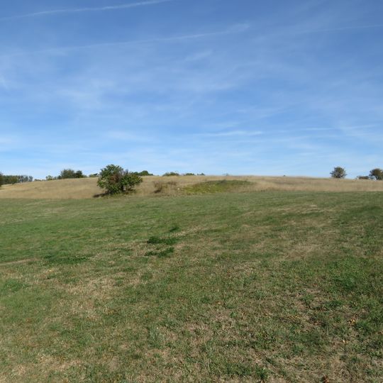 Coteau Et Plateau De Tessé