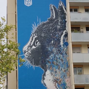 Urban street art: must-visit spots in the world's big cities