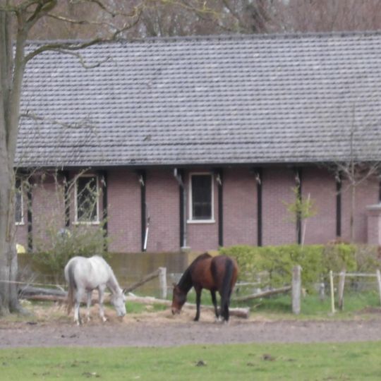 Hydepark: Paardestal