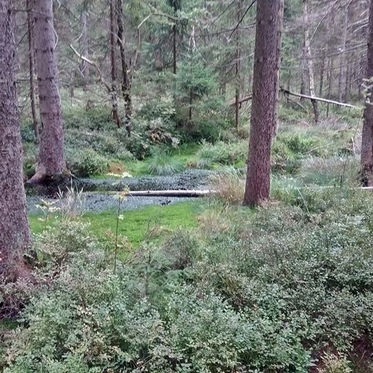 Kleiner Kranichsee, Butterwegmoor und Henneberger Hang