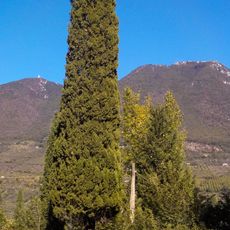 Monte Gennaro (versante sud ovest)