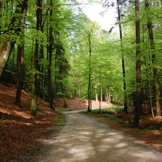 Volčji Potok Arboretum