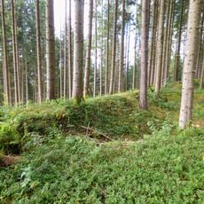Pürglitzschanze