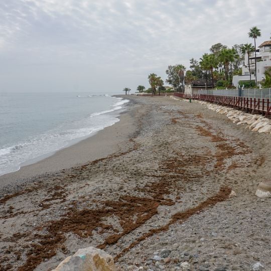 Playa Canina Ventura del Mar