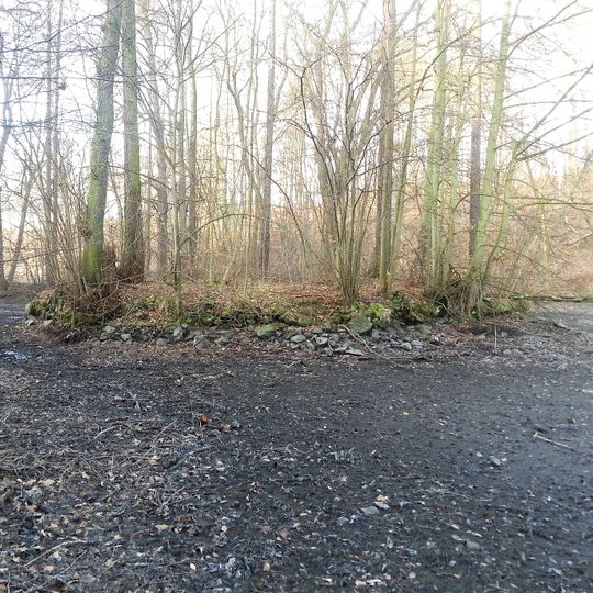 Turmhügelburg Schönfels