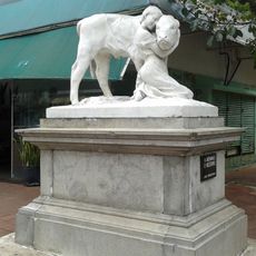 The girl and the calf