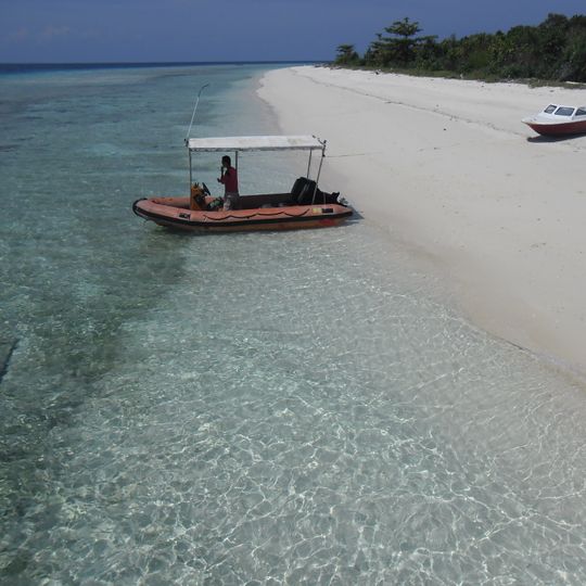 Pom Pom Island