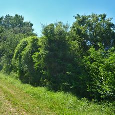 Hohle nördlich des Autals