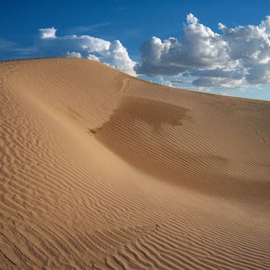 Samalayuca Dune Fields