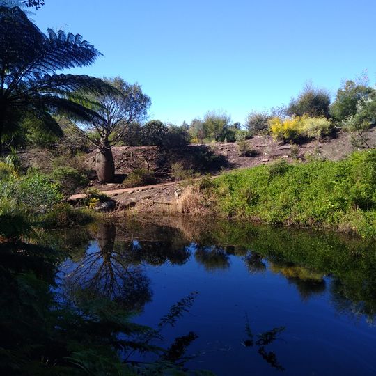 Illawarra Grevillea Park