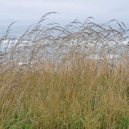 Tokatee Klootchman State Natural Site