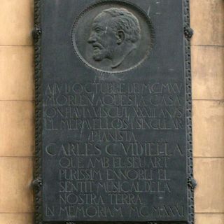 Carles C. Vidiella