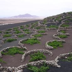 Lanzarote