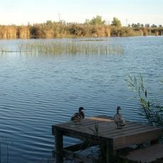 Marjal i estanys d'Almenara