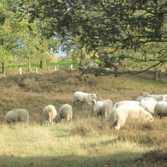 Hügelgräberheide bei Groß und Klein Berßen