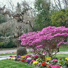 Jardín botánico de Lourizán