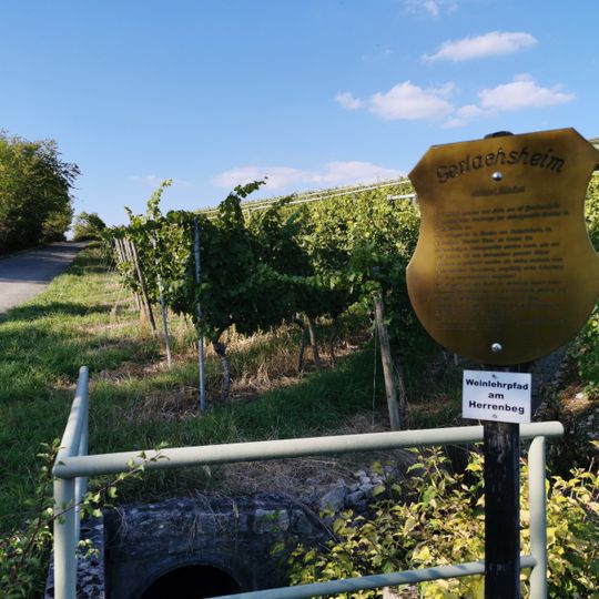 Wein- und Kulturlehrpfad am Herrenberg