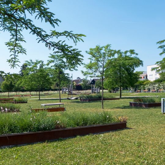 Parkanlage Kurt-Tichy-Gasse