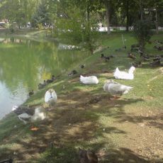 Aquapark lake in Tashkent