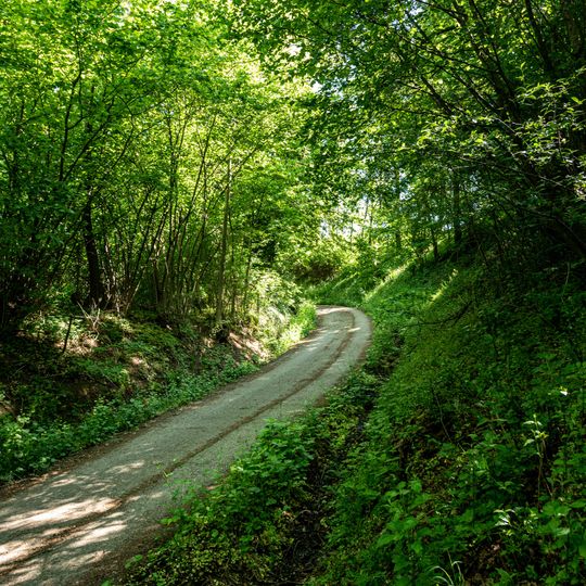 Hohlweg im Gewann Steidachwiesen