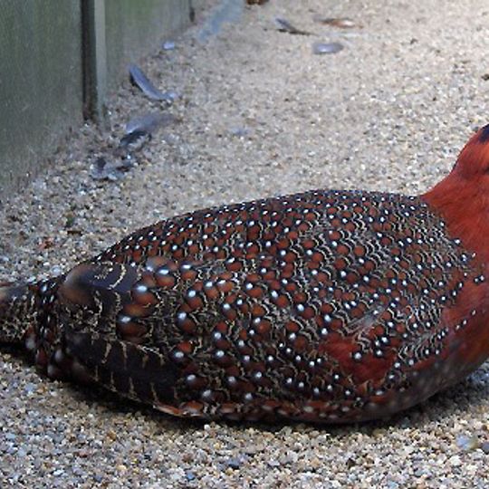 Parco nazionale di Mouling